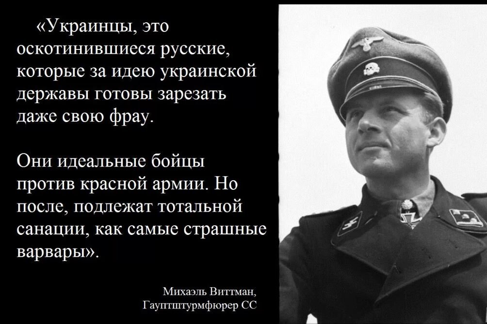 А в том что они. Михаэль Виттман об украинцах. Цитаты немецких генералов. Немцы об украинцах. Высказывания о бандеровцах.