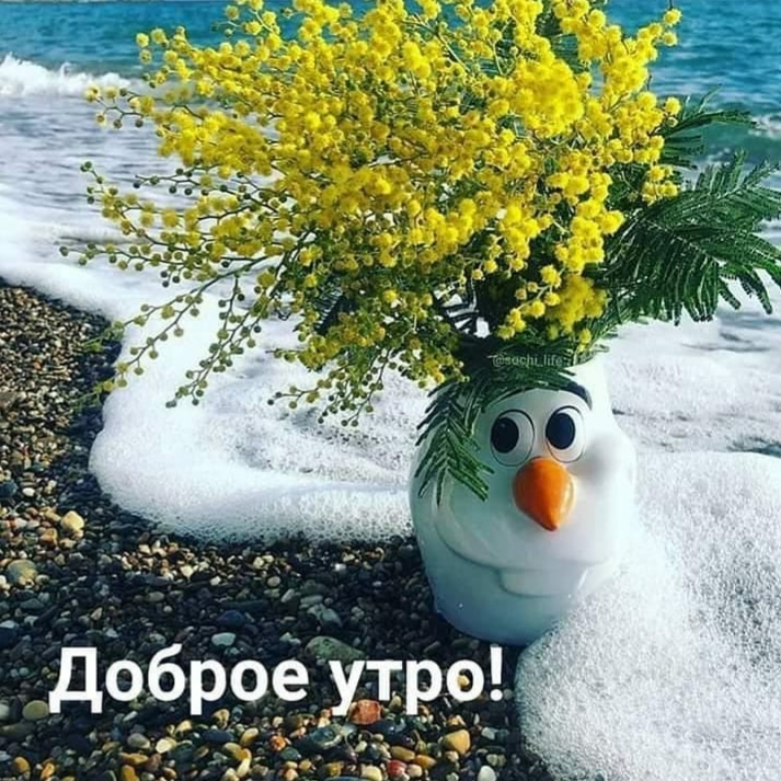 картинка взята из Интернета)) даже не помню, использовала ли я чужие раньше) Но это как раз Я сейчас))