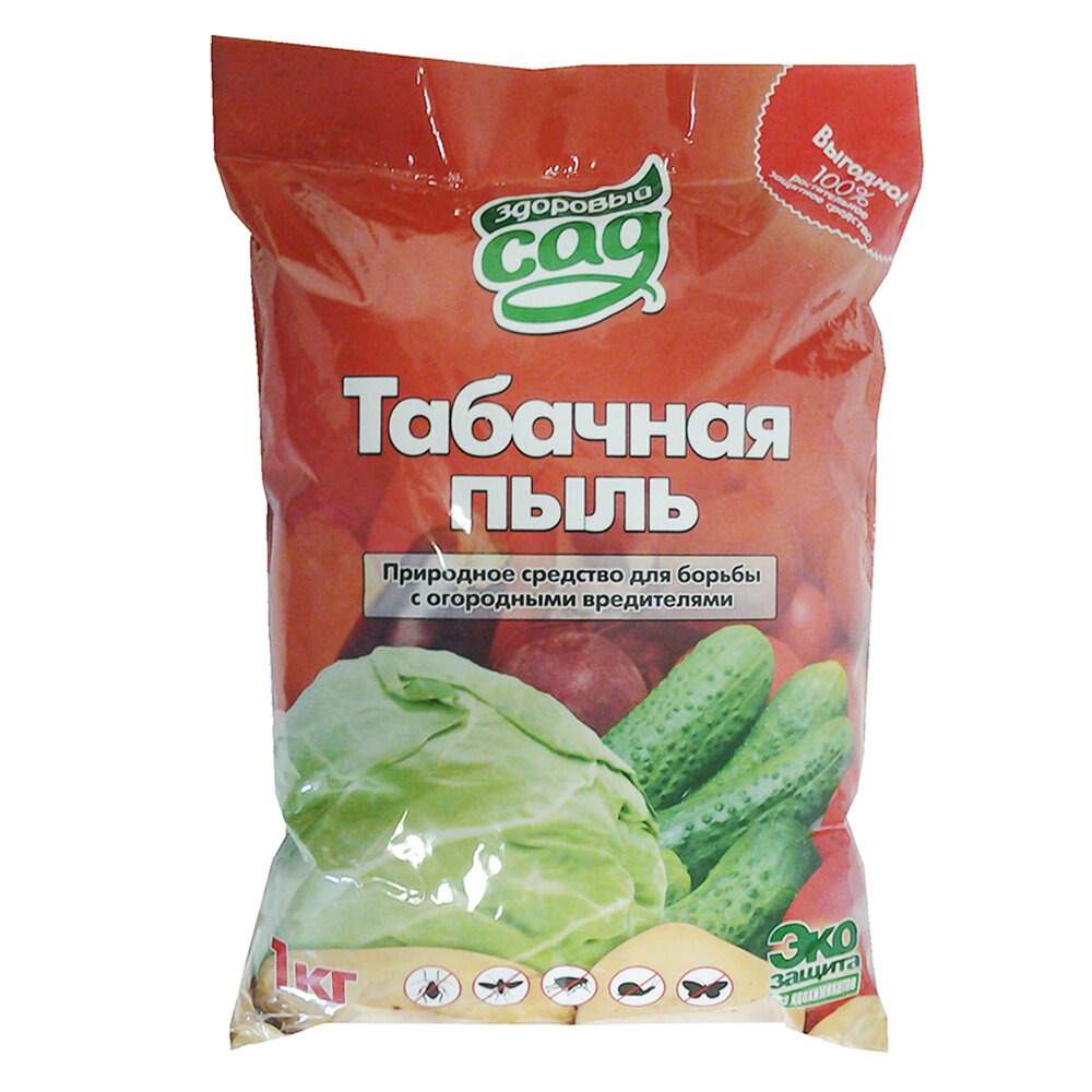 Что вносить в лунку при посадке томатов. Собираю урожай ведрами без внесения подкормок