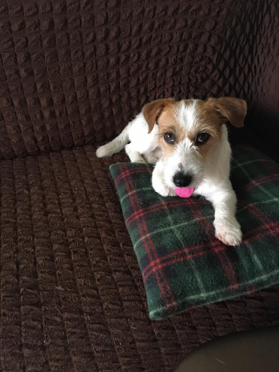 Фото после. Молодеть - это легко!))