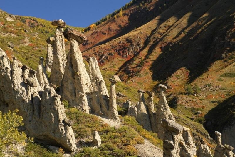 Фото из Яндекс картинок.