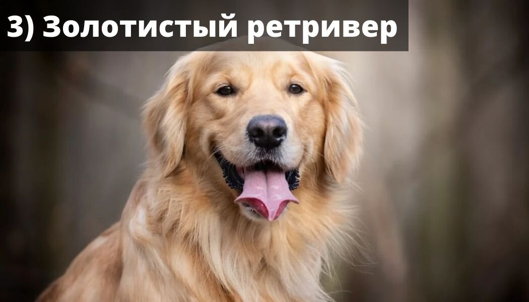 -1-3