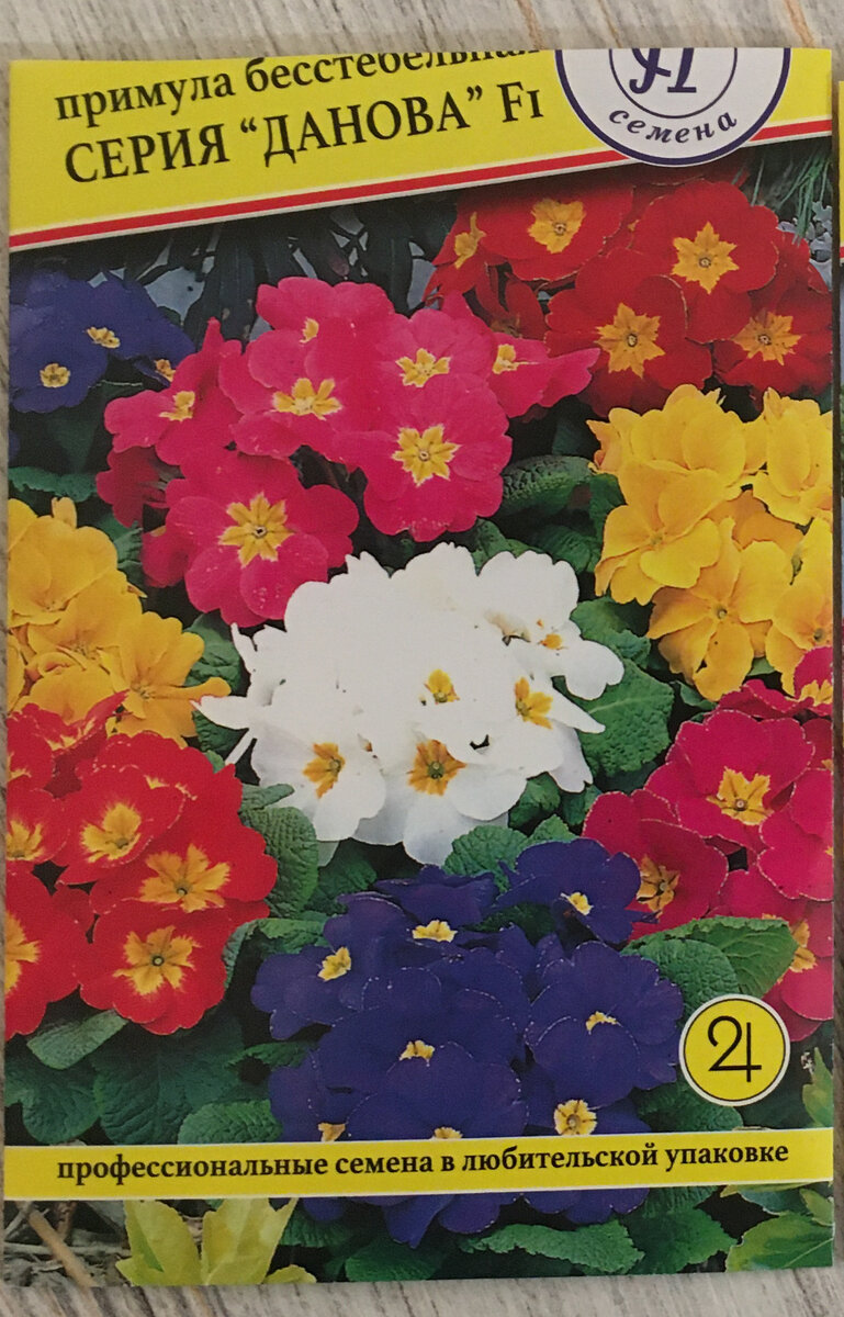 Семена примулы, которые сажала