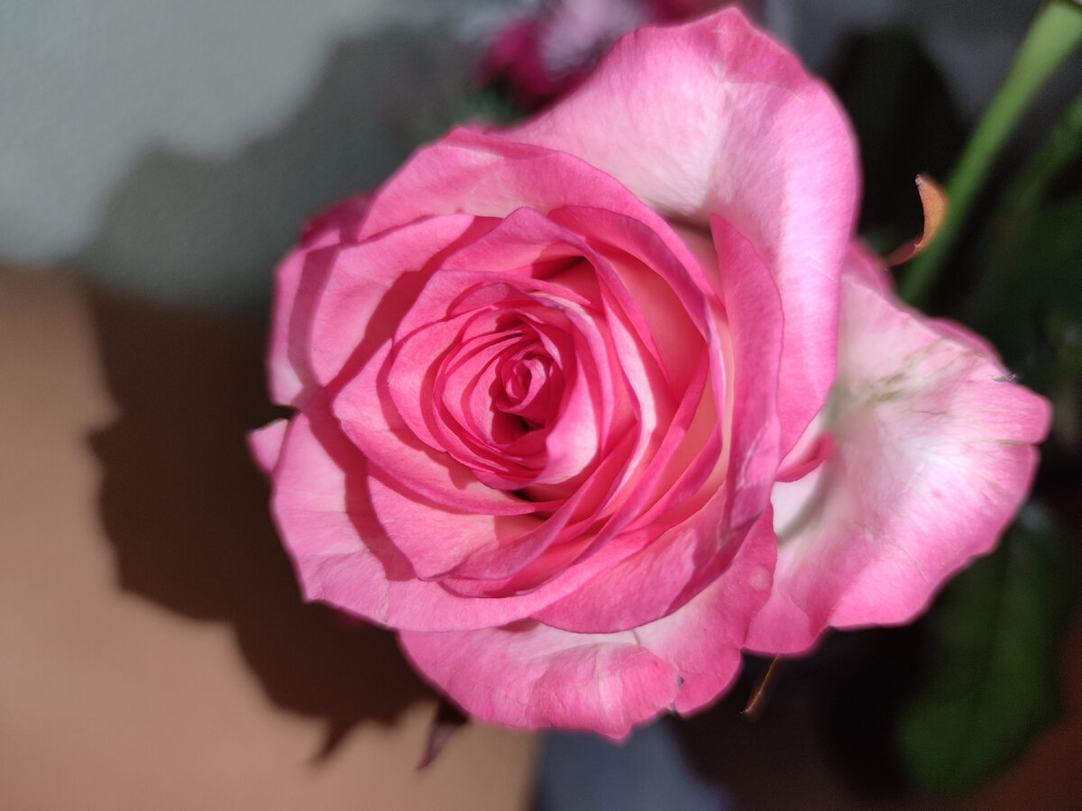 Дети-цветы жизни