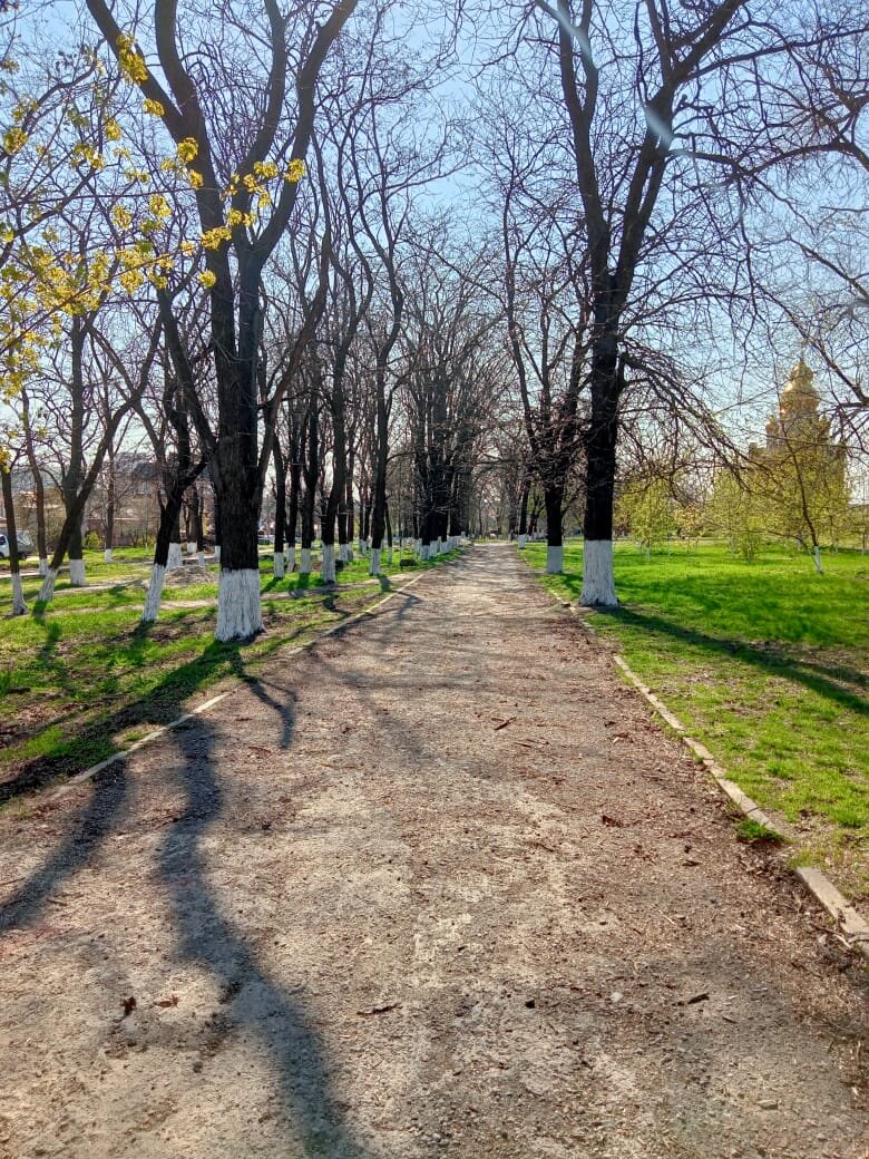          Это старые дорожки в парке, как видите увы- ни одной скамейки 