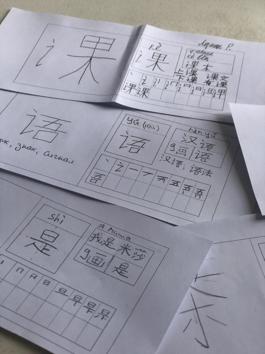 Студенческие работы к зачету. Работа не волк, работа- ворк!