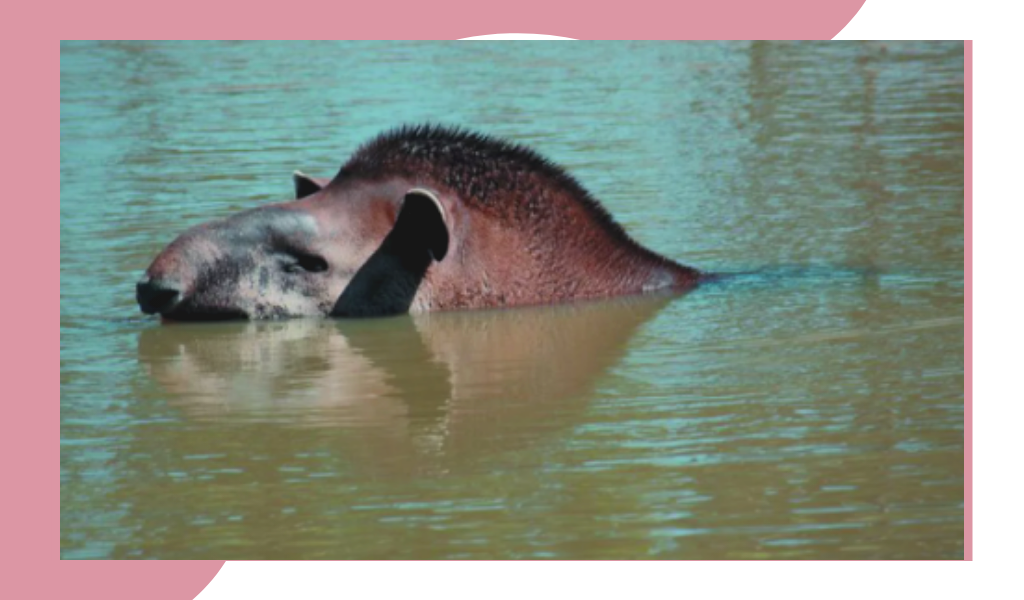 Фотография из открытых источников