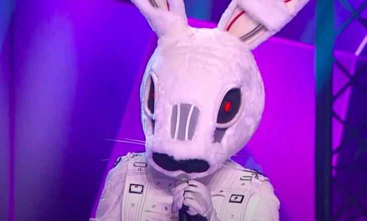 Заяц. Фото: кадр из шоу «Маска»