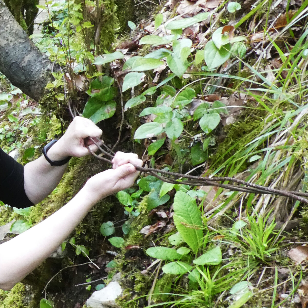 Самый необычный водопад Абхазии: как добраться самостоятельно, в какой ...