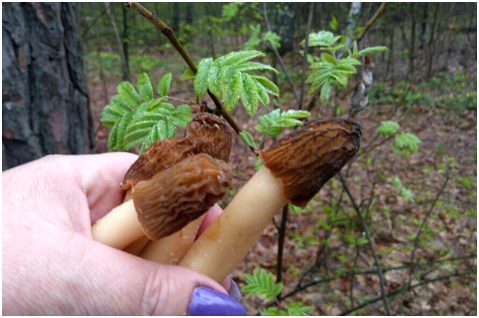 Ставьте лайки и подписывайтесь на мой канал