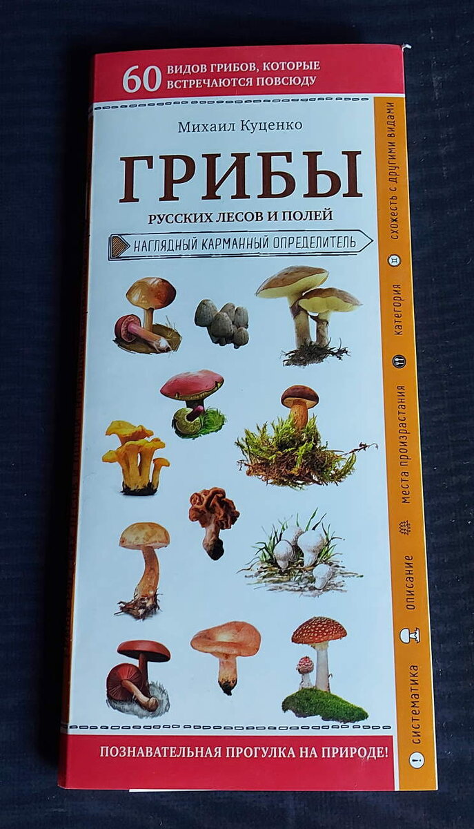 автор Михаил Куценко. издательство Эксмо