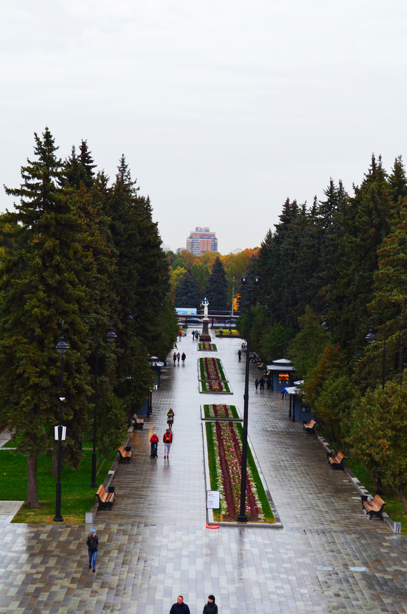 Центральная Аллея парка