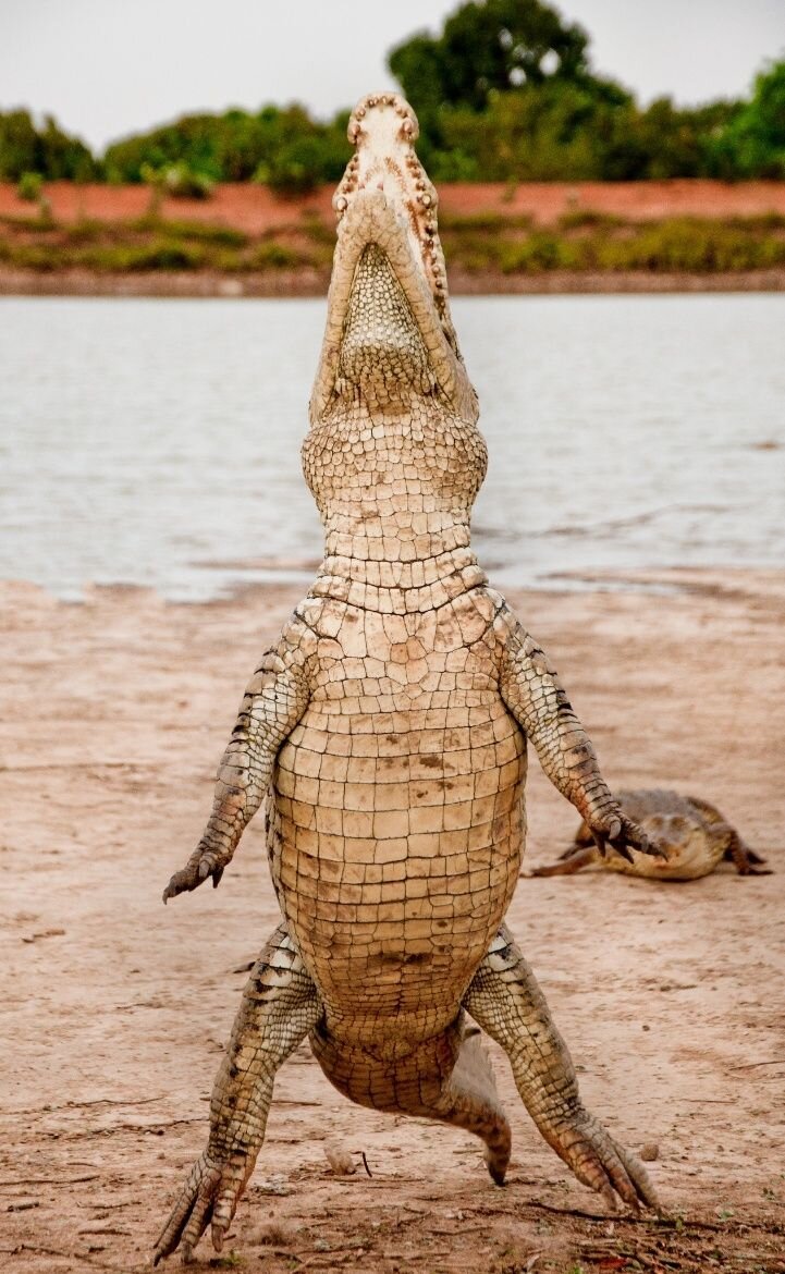 С сайта "Pinterest" 