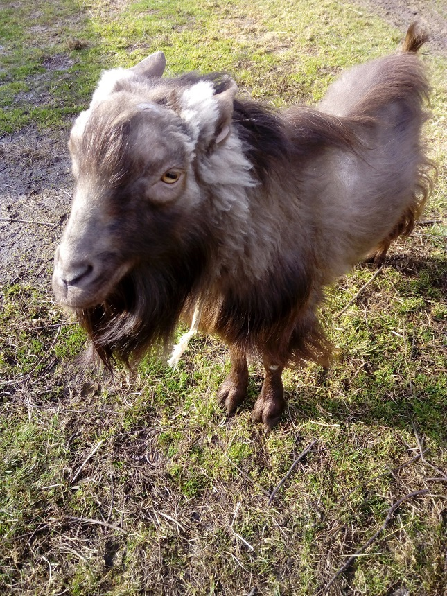 Личное фото