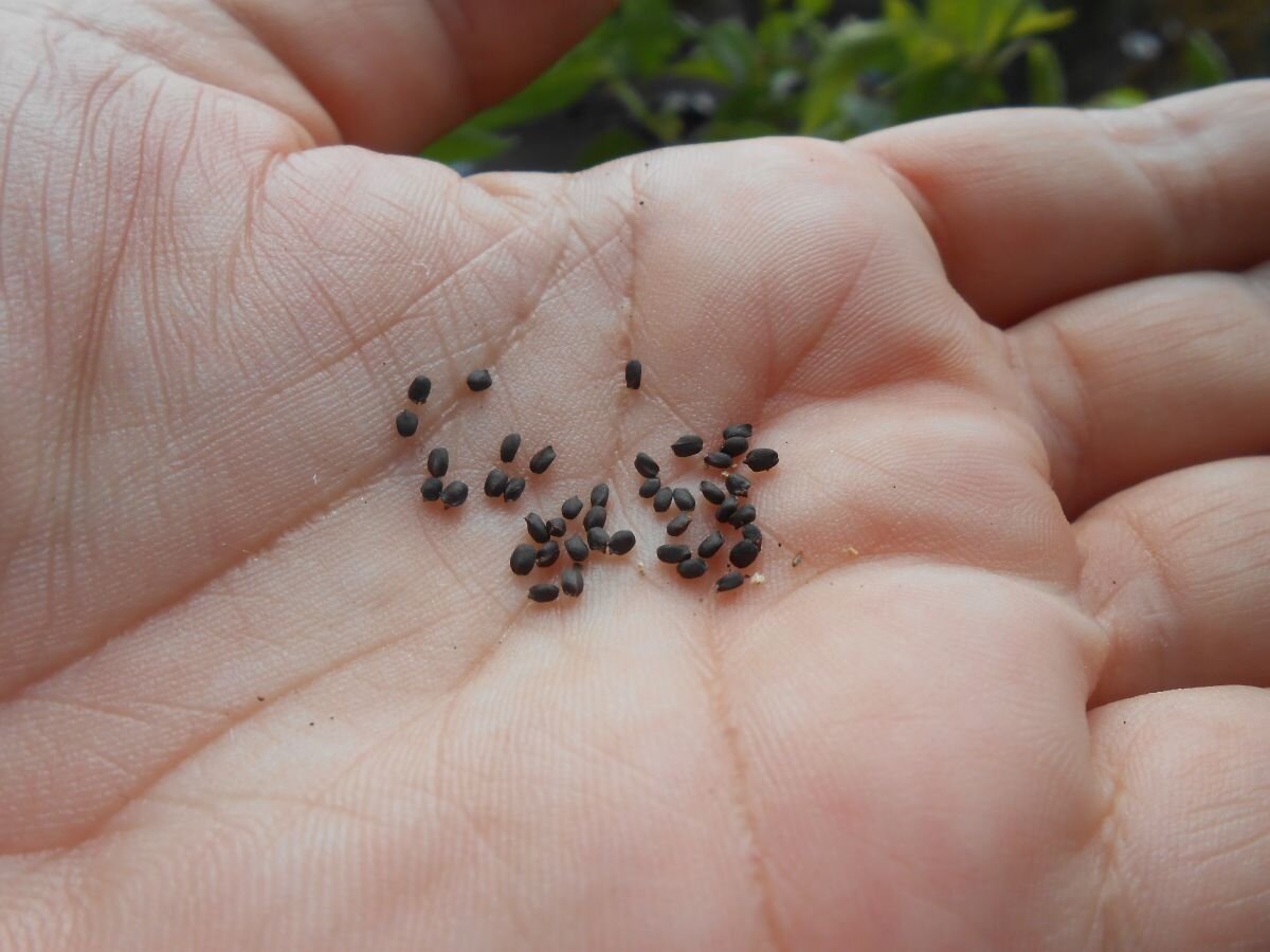 личное фото