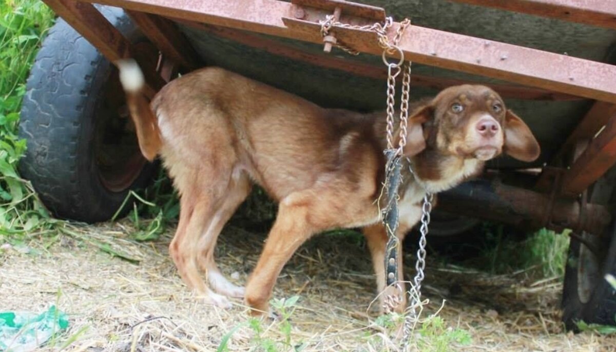 Никуда не уйдешь