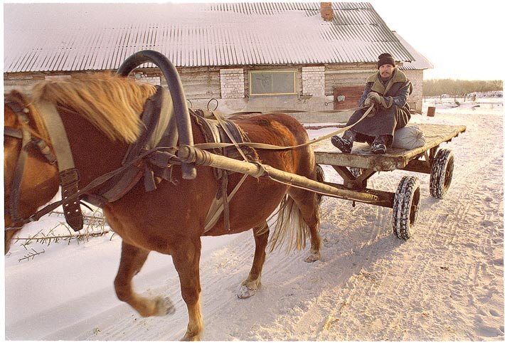  А вы знаете что такое оглобля? Это вот та длинная штука, что крепится одним концом к дуге, а другим к колесу. Если не ту или не так лошадь запрячь, то и колеса крутиться не будут. https://ds04.infourok.ru.