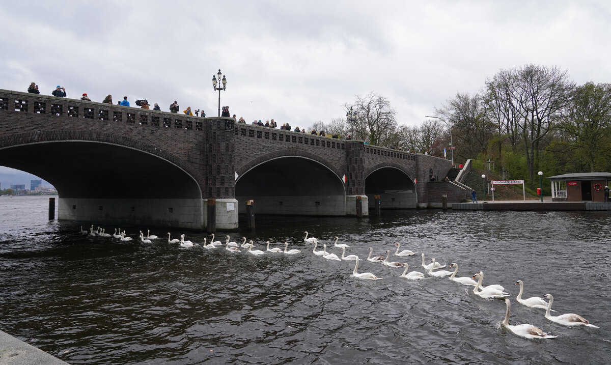 Marcus Brandt/Global Look Press