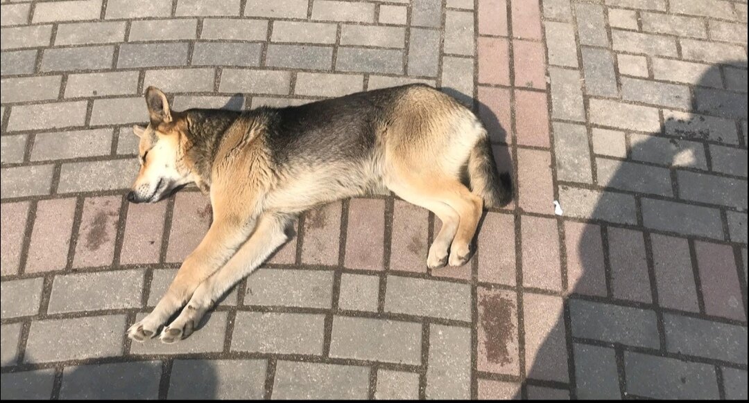 Маруся около магазина 