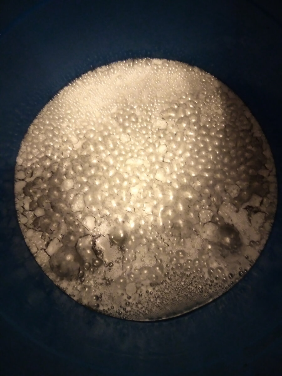 Личное фото автора