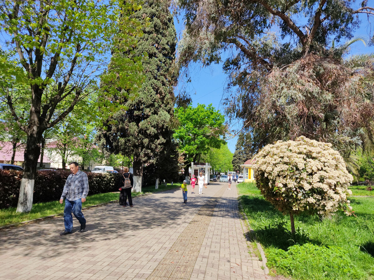 Погода в сочи май дней 2024 года. Сочи в мае. Адлер в мае. Адлер в мае фото. Сочи в мае фото.