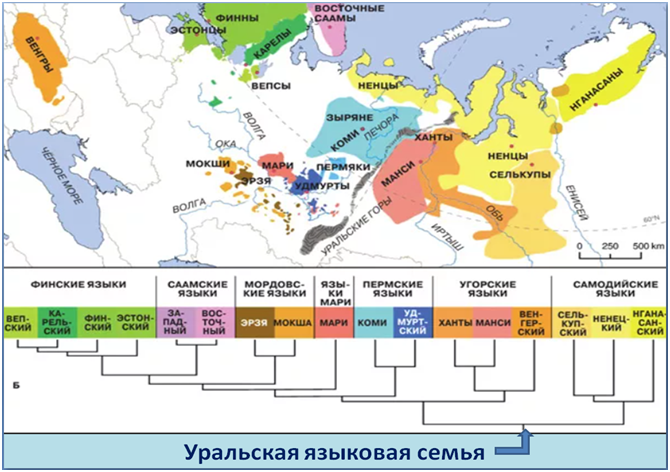 Финно угорские языки
