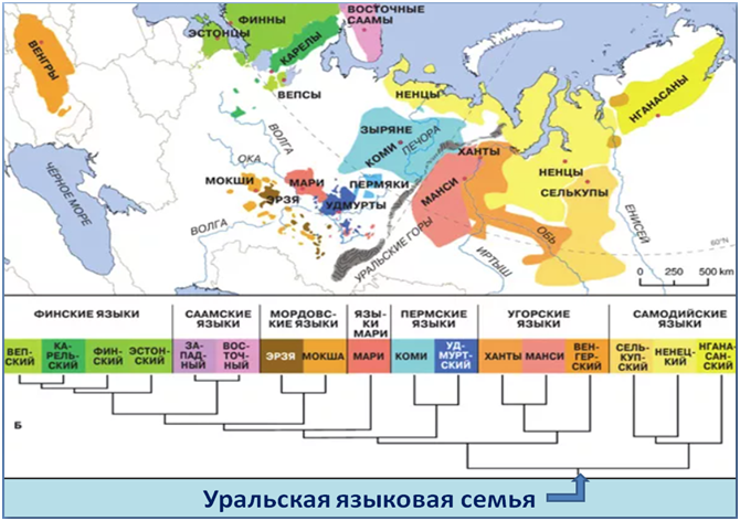 Уральско алтайская языковая семья