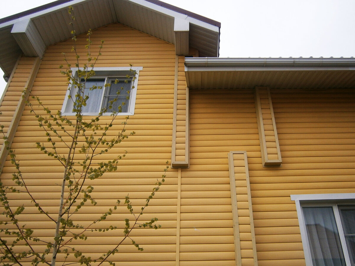 Фасад дома. Южная сторона.