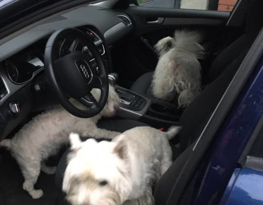 фото автора