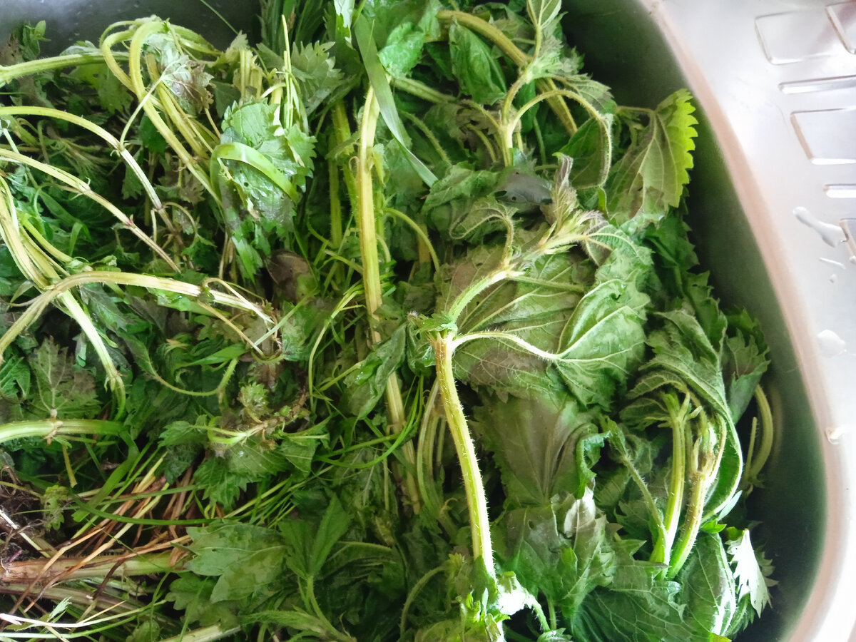 Ошпариваю кипятком