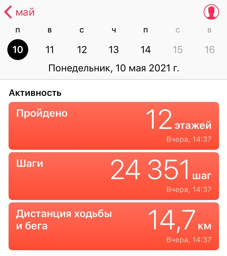 Так я провела первую половину дня 10 мая.
