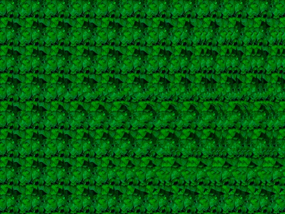 На картинке изображена бабочка