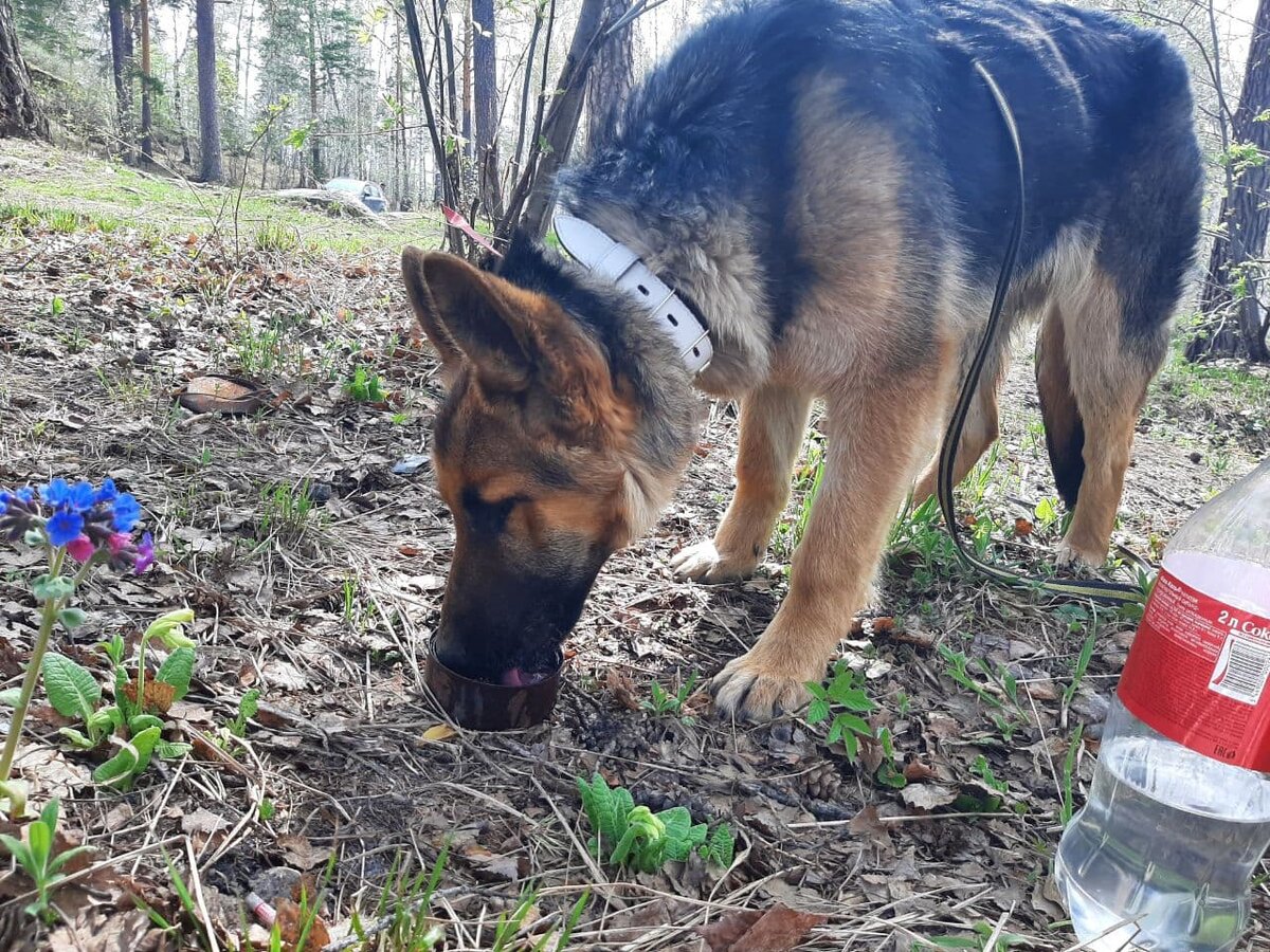 Нашла консервную банку, с неострыми краями