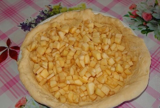 Пирог из дрожжевого теста с яблоками в духовке. Пошаговый рецепт с фото