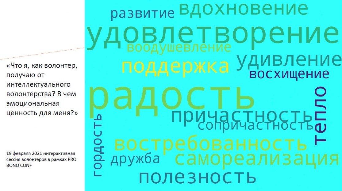 По итогам работы с волонтерами на интерактивной сессии в камках конференции PRO BONO CONF 19.02.2021