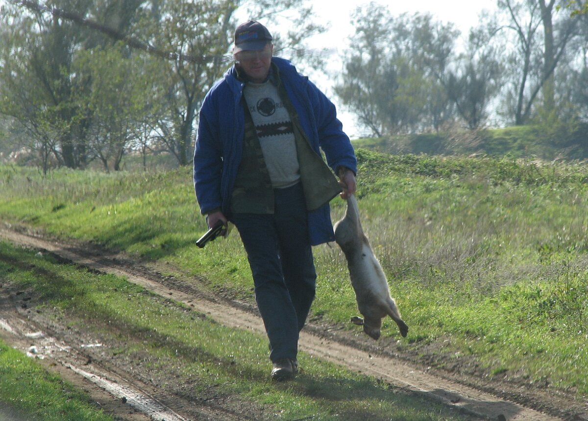 «Лепешка» из зайца…