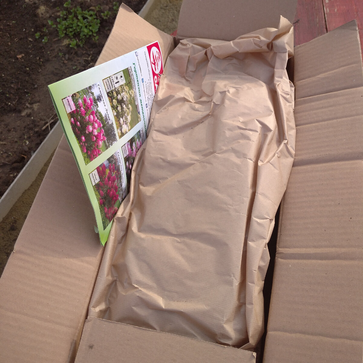 так выглядит внутри