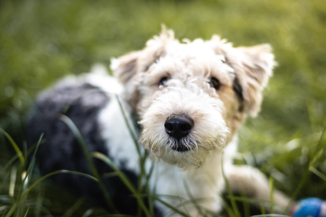 Photo by George Dulishkovych on Unsplash