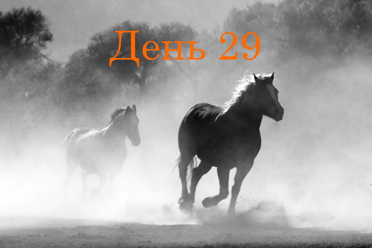 От нагрузок плачут кони. А я пашу как крошка пони…