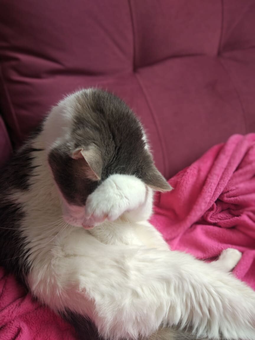 гостей намывает