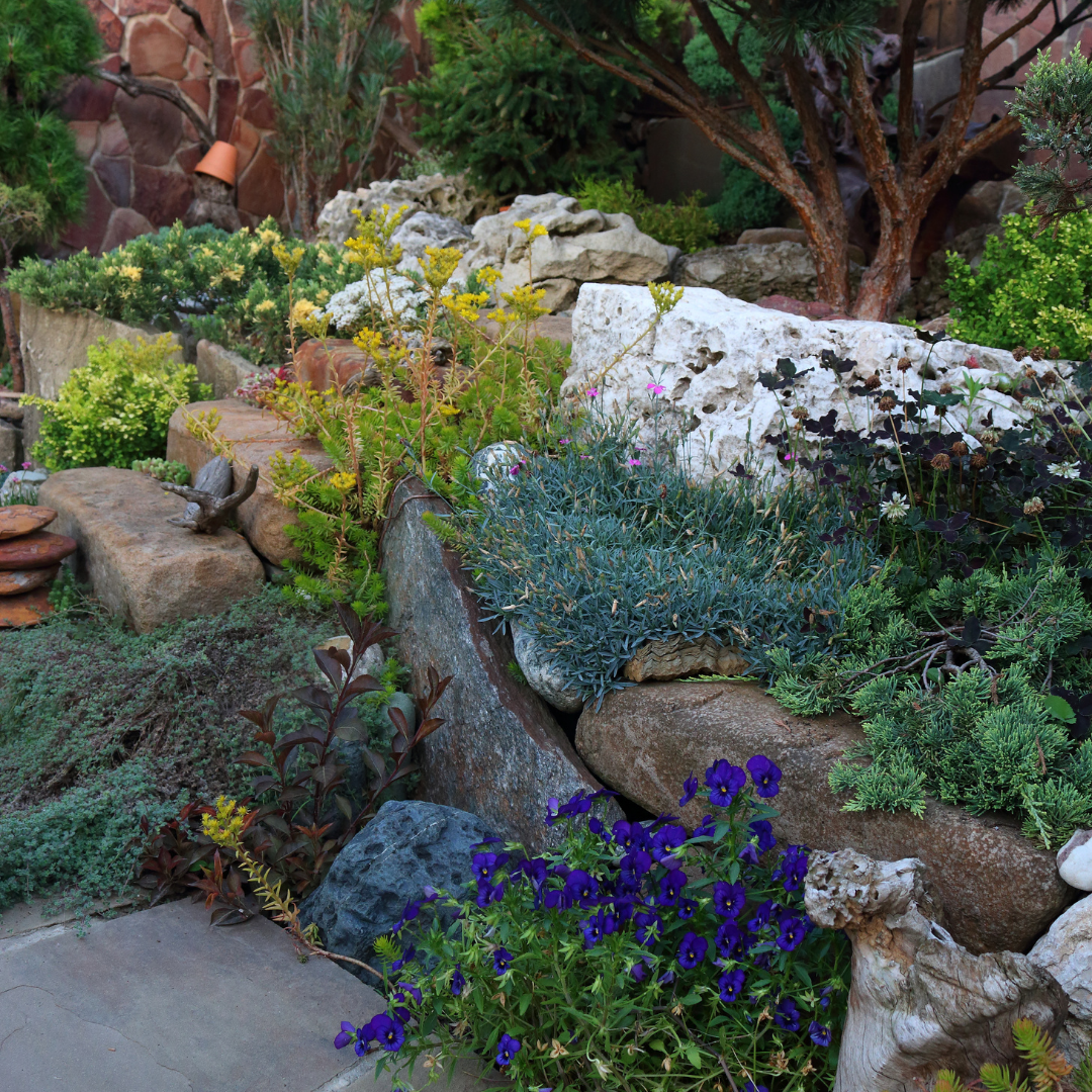 Гармоничное сочетание растений