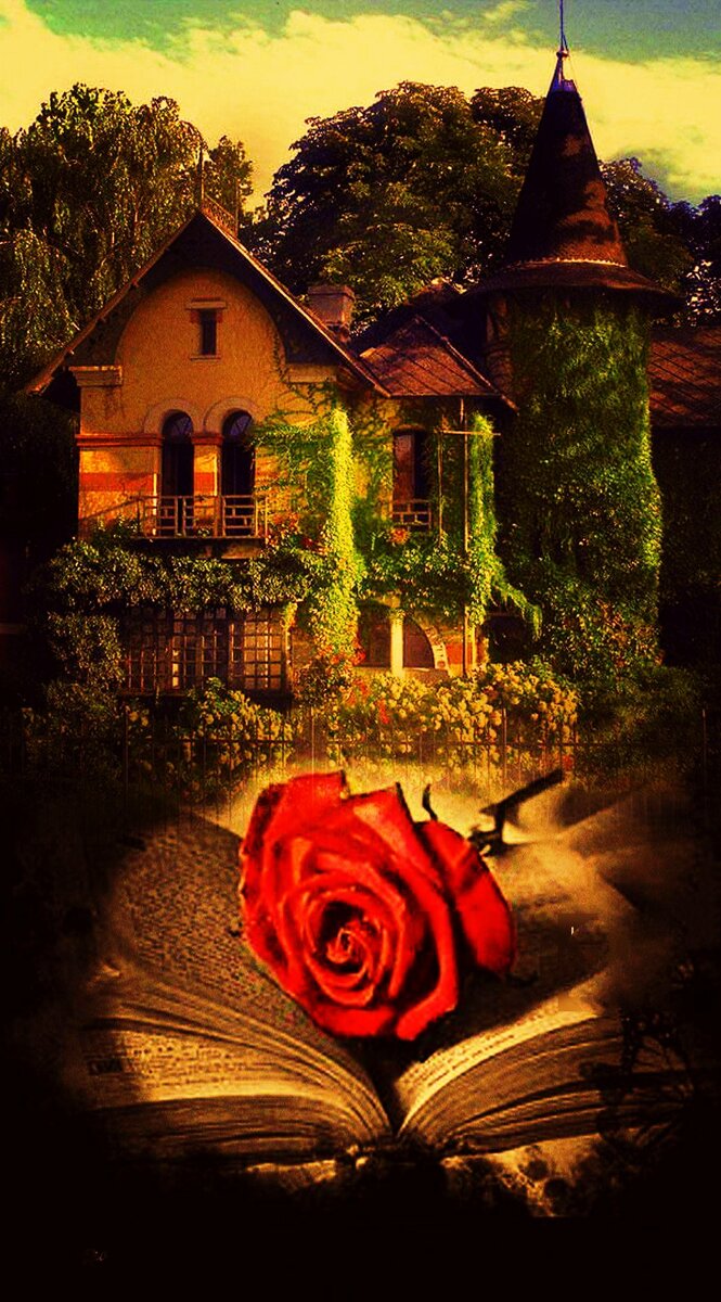 Фотоколлаж автора статьи