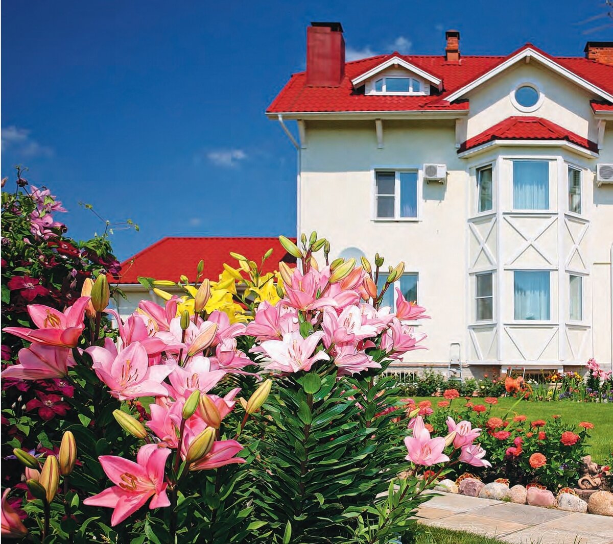 Фото Александра Силкина