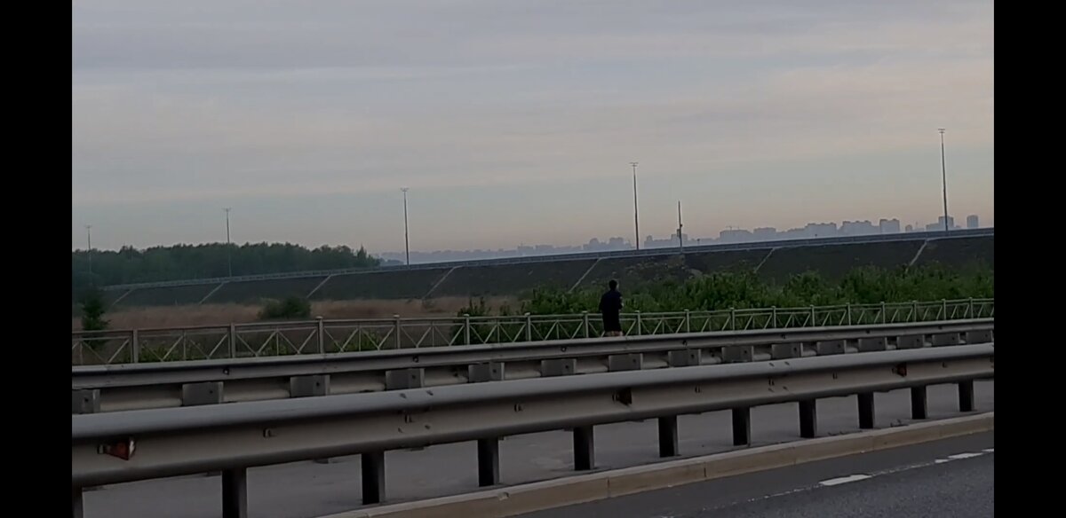 Шушарский бегун