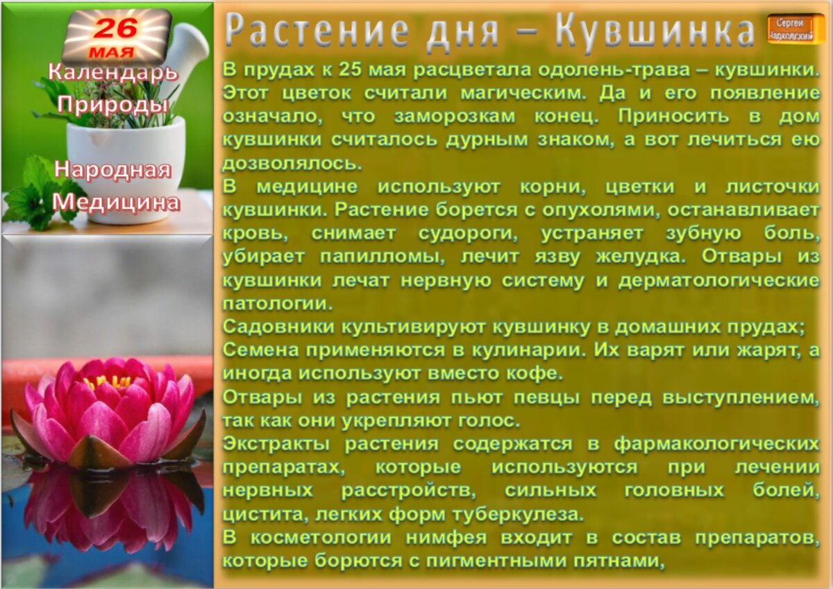 26 мая - все праздники дня во всех календарях. Традиции, приметы, обычаи и  ритуалы дня. | Сергей Чарковский Все праздники | Дзен