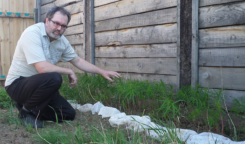 Наша грядка