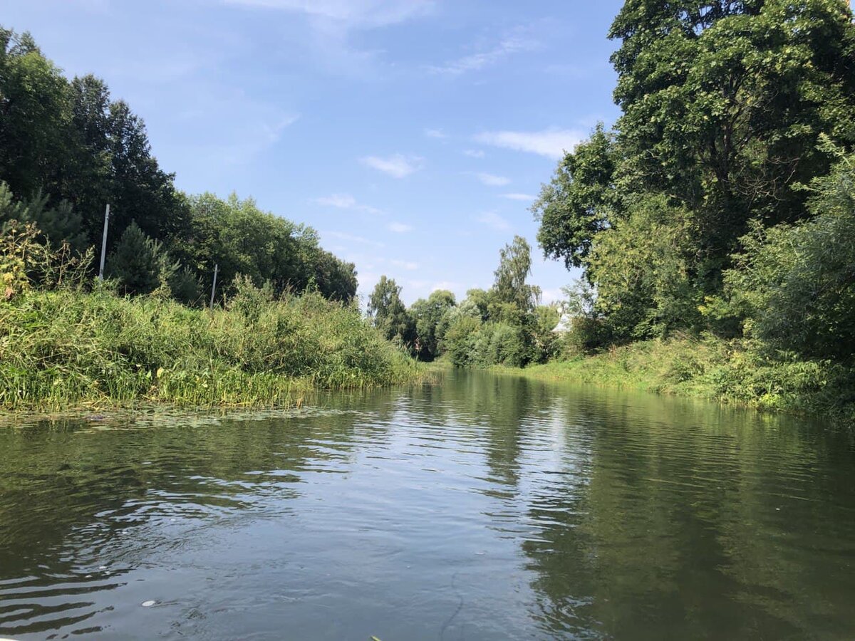 Деревня летом