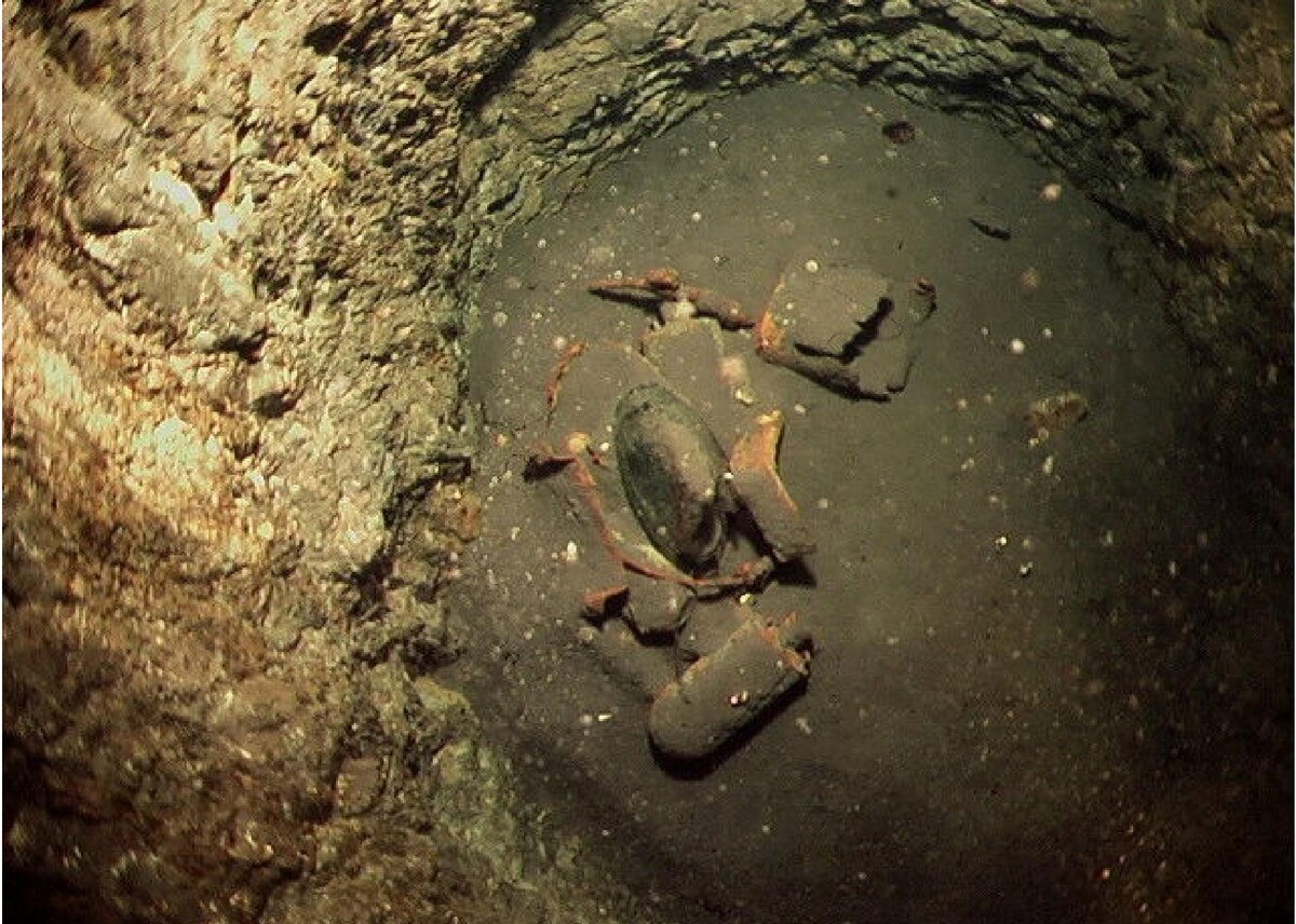 Τα ευρήματα από βαθιά πηγάδια και πηγάδια δεν ευχαρίστησαν τους επιστήμονες