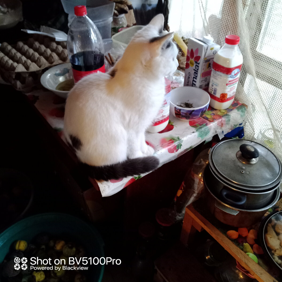 Мы одиноки, наши дети уже ищут репетиторов своим детям, никто больше не является источником знаний. Каждый будет иметь только один навык и знать только о нём. Фото автора