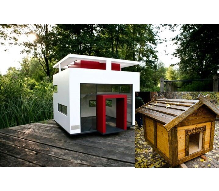 варианты конечно бывают закачаешься